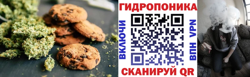 Canna-Cookies конопля Малая Вишера