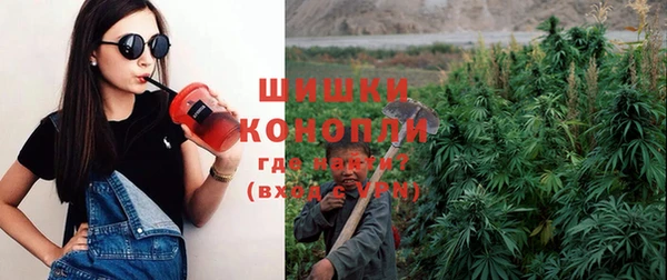 стаф Магас
