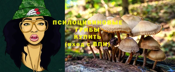 кокаин перу Ладушкин