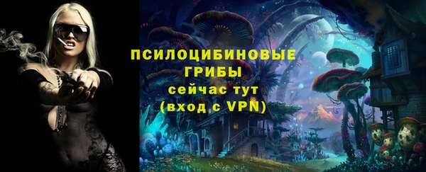 герыч Лагань