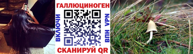 Псилоцибиновые грибы мухоморы  Малая Вишера 